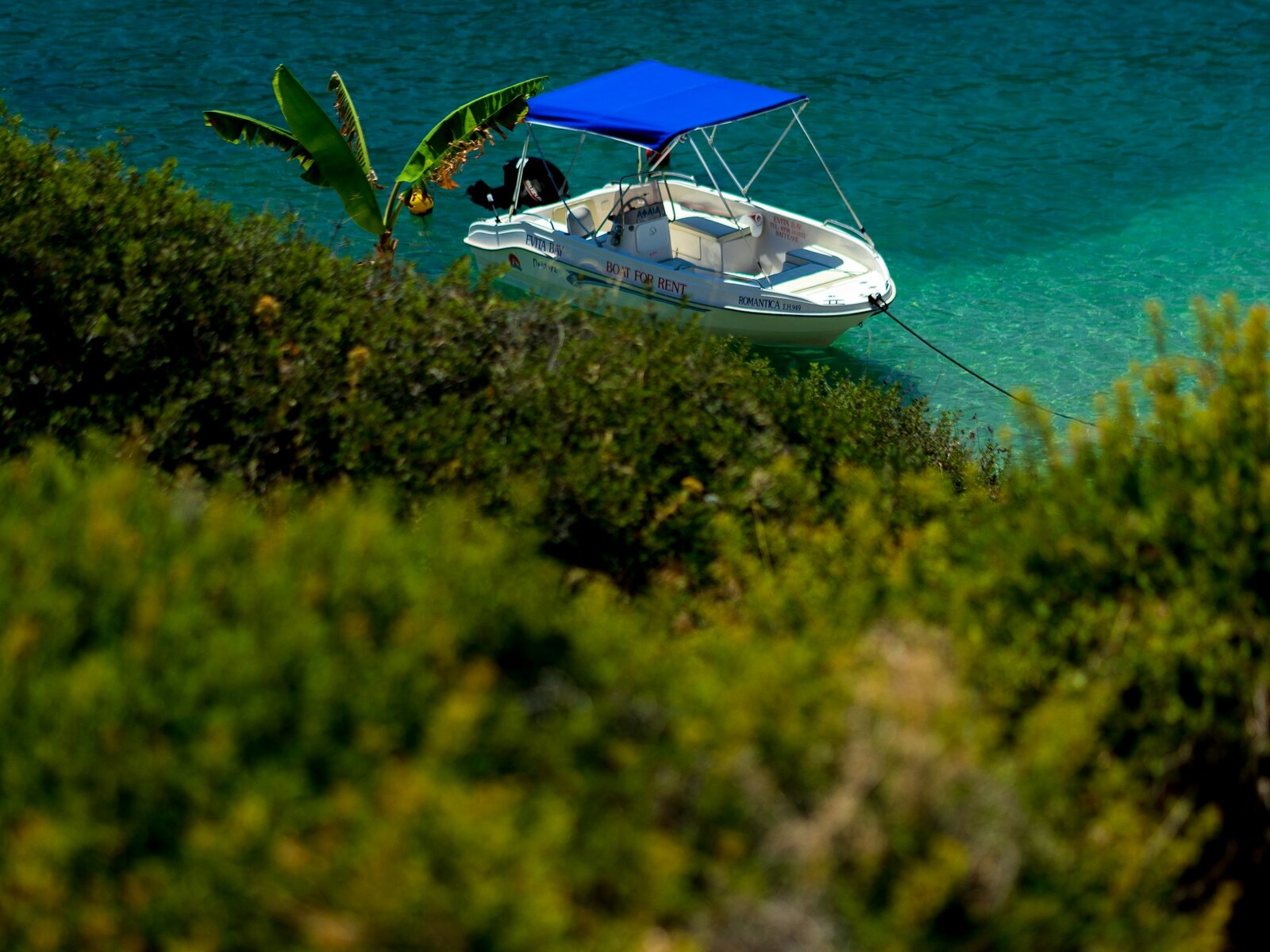 One of our 30hp boats